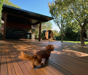 A dog running across an Australian Hardwood timber deck built by Hardwood Projects